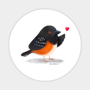 Towhee bird in love Magnet